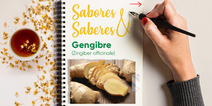 Sabores e saberes - Gengibre 1